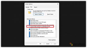 Bug Separate Process di Folder Options Windows 11 Insider Beta Build 22623.1028