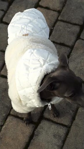 Winter jacket - ecru