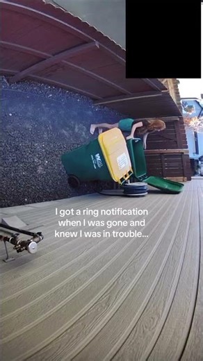 httphome2smart.comhome #shorts