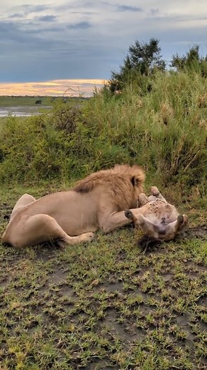 Boniphace Yonatas Pagulile on Instagram: "will captivate your senses and leave you in awe of nature’s grandeur. www.adventureclubdrm.com +255712420544 #liechtenstein #vaduz #schaan #balzers #ruggell #switzerland #triesenberg #triesen #eschen #gamprin #mauren #schweiz #schellenberg #austria #nature #travel #vorarlberg #rheintal #italy #planken #travelphotography #naturephotography #sport #feldkirch #bendern #sterreich #stgallen #buchs #malta #team"