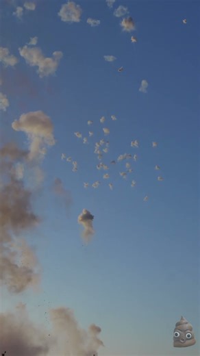 bomba da tiro shell 200mm #fireworks #pyrotechnica #vuurwerk #pyro #feuerwerk