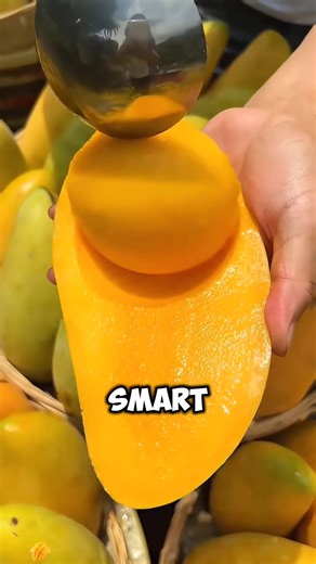 56 reactions · 3 comments | Simple technique of farmers grow their mango tree to achieved big and sweet mango fruit | Lee Yumi | Facebook