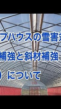 パイプハウスの雪害対策 タイバー補強と斜材補強（クロスタイバー）について。 1日1本 179本目