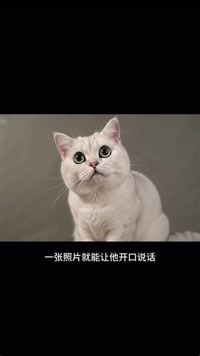 一张照片就能让它开口说话！两步一键成片！#小云雀AI #照片会说话 #AI视频制作 #萌宠视频教程