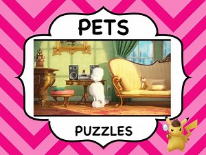 PETS - Puzzles