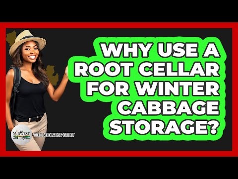 Why Use A Root Cellar For Winter Cabbage Storage?