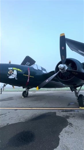 ✈️ F7F Tigercat sitting pretty! #airplane #aviationhistory #aviation #warbirds