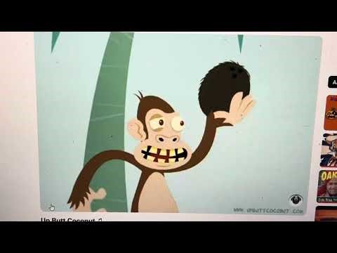 Up Butt Coconut(Computer Recordings) 11/4/25