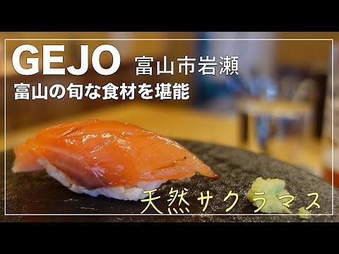 【富山グルメ】富山の旬の食材をランチコースで堪能/カウンターお寿司~GEJO 富山市岩瀬~ お寿司(鮨)/白えび