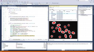 Debugging with HALCON Variable Inspect in Visual Studio