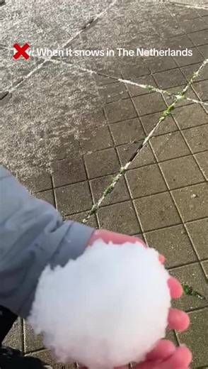 When It Snows in The Netherlands: A Humorous Perspective