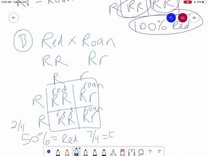 SOLVED:The cattle breed that is red in color and originated in the United States in 1945 is the   .