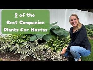 9 of the BEST Companion Plants For Hostas
