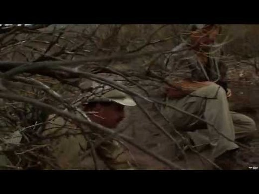 Barbary Sheep Hunting In Texas