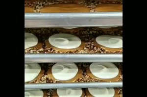 Fresh Turtle Gophers on the way! Swing down to the store to get em! What is your favourite style of Turtle Gopher? #gophers #turtlegopher #caramel #whitechocolate #pecan #candy #southern #candystore​ | Savannah's Candy Kitchen