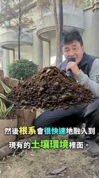 用落葉膠囊種植的方法 #落葉 #落葉膠囊 #種植 #方法 #環境教育 #台南市政府