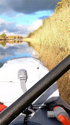 Solo river kayaking with reeds on the side, Itiwit X500, Eskilstunaån