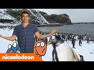 Die Thundermans | Jacks perfekter Tag | Nickelodeon Deutschland