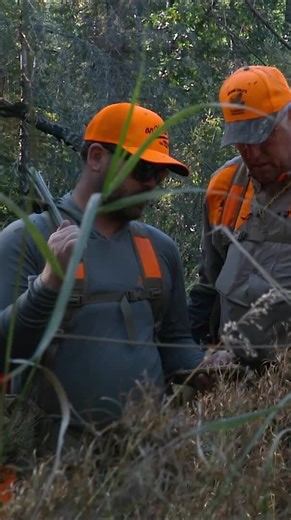 Welcome to the Jungle 🍃 download Wild TV to stream an ALL NEW episode of The Flush, available TONIGHT @ 6pm ET! Find the full episode below in the comments 👇👇👇 Wild TV Live Channel Times FRI @ 6pm ET (4pm MT) SAT @ 5pm ET (3pm MT) MON @ 8:30am & 10:30am ET (6:30am & 8:30am MT) #TheFlush #fishing #grousehunting #birdhunting #WildTV | Wild TV - Canada's Hunting and Fishing TV Network