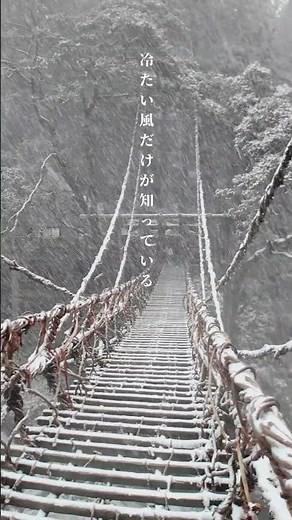 三好の景色 #徳島 #四国 #shikoku#プチ旅三好