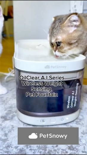 Tara l Yoga, Wellness & UGC on Instagram: "My pet deserves the cleanest and safest water — and the PetSnowy OilClear AI makes it effortless! It delivers human-grade purified water through its multi-stage filtration system, UV sterilization, and smart hydration monitoring. Every sip is fresh, safe, and absolutely perfect for my little one. 🐾 If you want cleaner, healthier hydration for your pet, this is a must-have! 💧🤍 👉 Link in bio to check it out! @petsnowy_official #PetSnowy #PetWaterFount