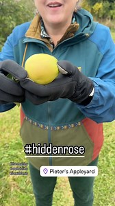 9.6K views · 364 reactions | Just Get It Done Quilts on Reels | Facebook