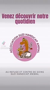 Association Suzi Handicap Animal officiel on Reels
