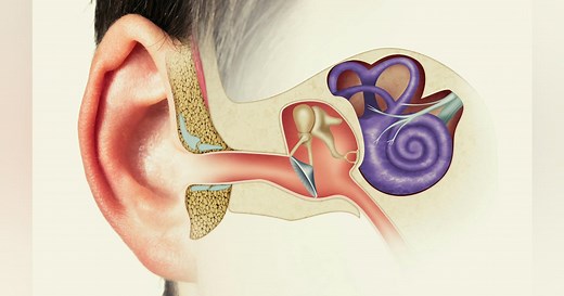 Terahertz near-field imaging approach goes deep into the ear