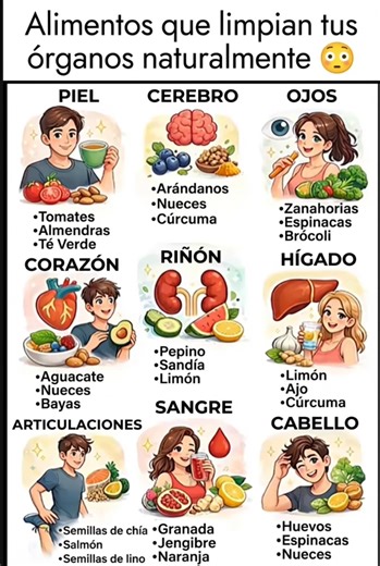 MUY IMPORTANTE ALIMENTOS QUE HAY QUE TENER EN CUENTA #alimentacion #habitos