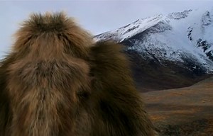 Discovery Világunk Titkai Ősemberek földjén