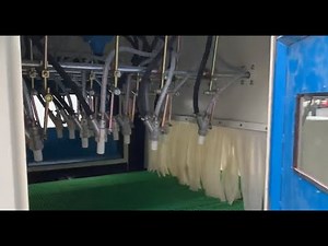 Automatic Sandblasting Machine