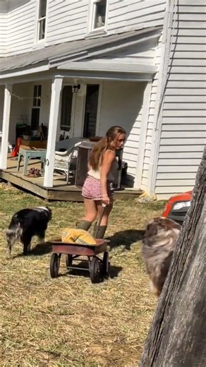 #Shorts #emmyrossumi