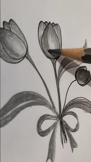 🖤🖤🖤tulips pencil drawing||how to draw tulips#art #drawing #viral #pencilart #pencilsketch
