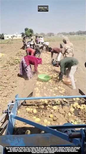 Potato Harvester Worktool that separates soil from potato to improve harvest productivity #worktool