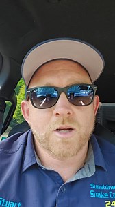 Venomous snake bite in Buderim! 🐍 We always ask to please leave snake catching to the professionals! Even if you have good intentions, unfortunately things like this can happen in a heartbeat and can end a lot worse. There have been a few snake sites lately where members of the public have picked up a venomous snake thinking it was a non-venomous species. Different species can often appear quite similar to an untrained eye, so it’s super important that only professionals with the correct traini