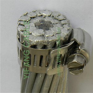 [Hot Item] ACSR Drake 795mcm Bare Conductor