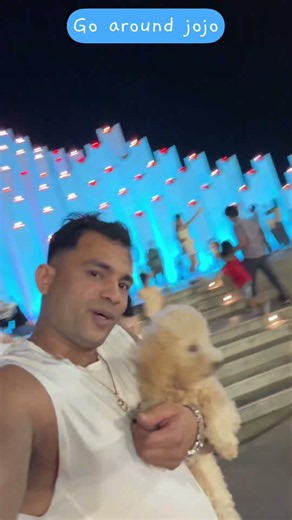 Having fun with jojo | Dog life | based of dog | Dog lovers | Intelligent poodle | Poodle Dog lover