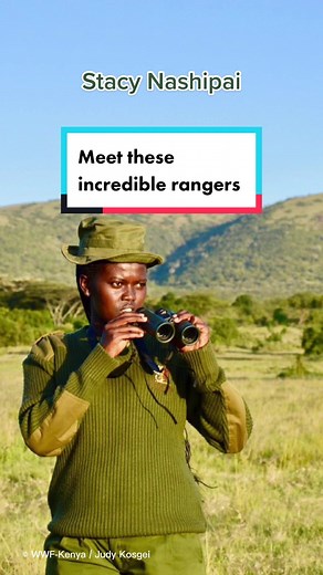 Meet these incredible rangers who are working to protect our natural world! 🌎 #WorldRangerDay #Rangers #Conservation #LearnOnTikTok #JobsInConservation