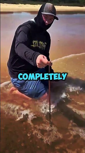 The Giant Monster Hiding Beneath the Beach 🌊 You Won’t Believe This Creature 🐛 #short #shortsfeed