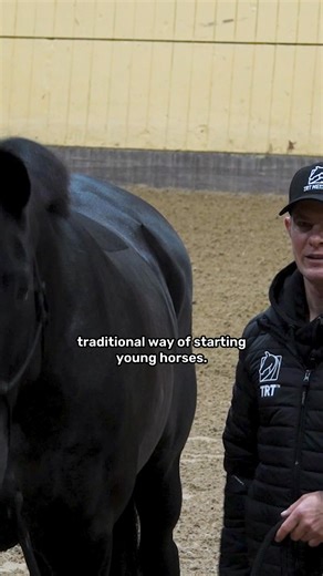 We add leg... and the energy shoots straight UP. When a horse gets tense or freezes, the common advice is often: "Ride him forward! Add more impulsion!" But with a sensitive horse like Sphira in this video, that actually makes things worse. Why? Because her body is already in a "protective state." Her front end is closed. If I add energy to a body that is blocked, that energy has nowhere to go. It doesn't go forward... it hits a wall and shoots straight up. The head goes high, the neck gets shor