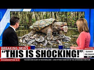 Tracker Goes Silent in the Everglades — Apex Python Taken Out by the Unthinkable Creature