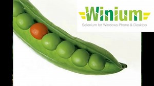 Winium Desktop Tutorial