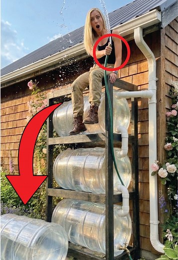 Rainwater Barrel Reuse: Genius Idea for Old Barrels