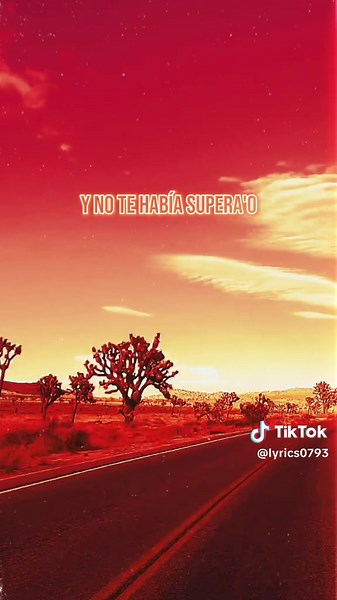 #marshmello #manuelturizo #elmerengue #lyrics #fyp