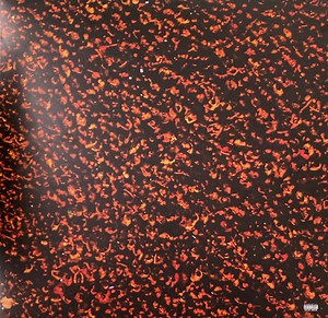 Six60 - Six60 (2019)