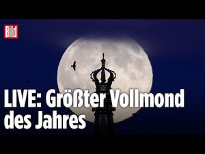 🔴 Den Supermond LIVE anschauen – Der größte Vollmond des Jahres | BILD LIVE