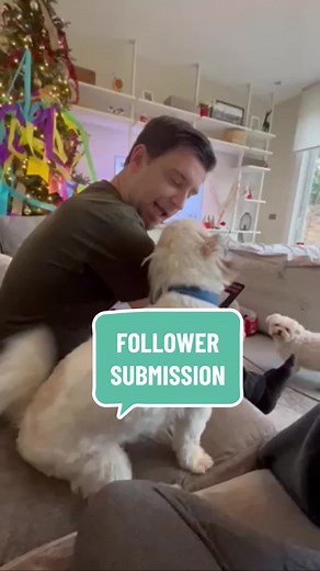 For those confused about appeasement “kisses,” there’s a great comparison between affection & appeasement “kisses” here! #dogbehavior #dogbodylanguage #pettingyourdog #doglanguage #caninecommunication