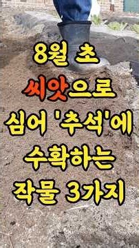 3 Crops to Plant from Seed in Early August and Harvest by Chuseok