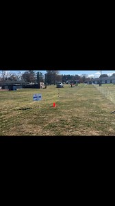 Marie Donahue on Reels