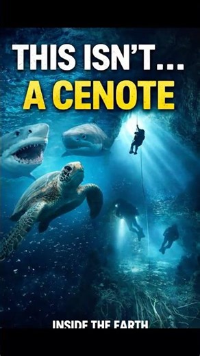 This Does Happen In Cenotes